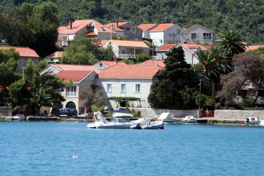 Photo of Others in Zaton