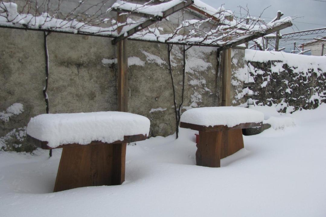 Photo of Others in Pliskovica