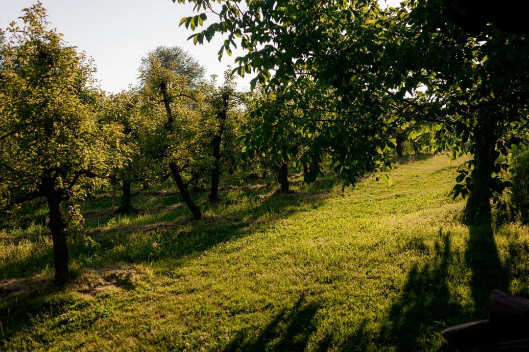 Photo of Others in Cerkvenjak