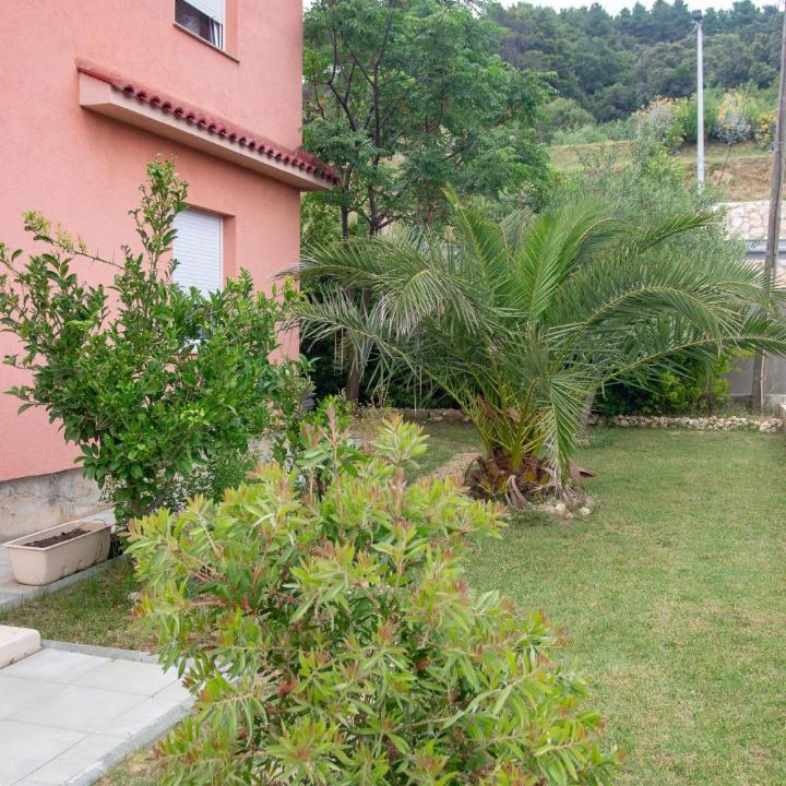 Photo of Others in Suha Punta