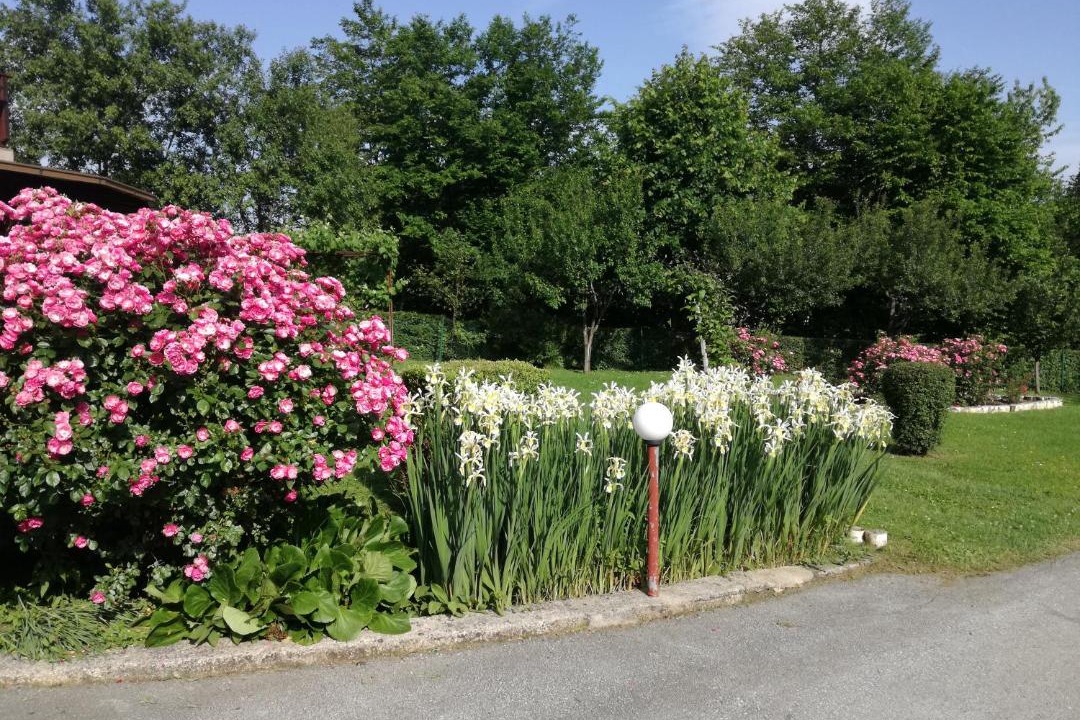 Photo of Others in Rakovica