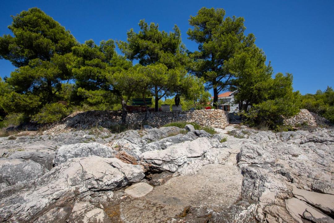 Photo of Others in Cove Osibova (Milna)