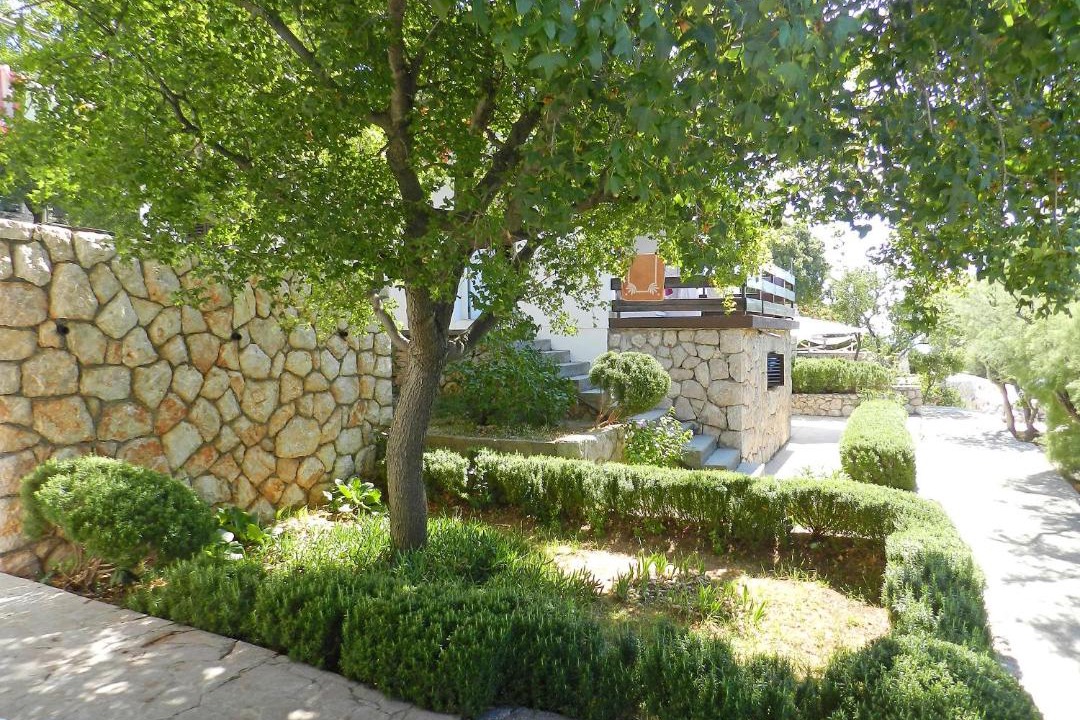 Photo of Others in Baric Draga
