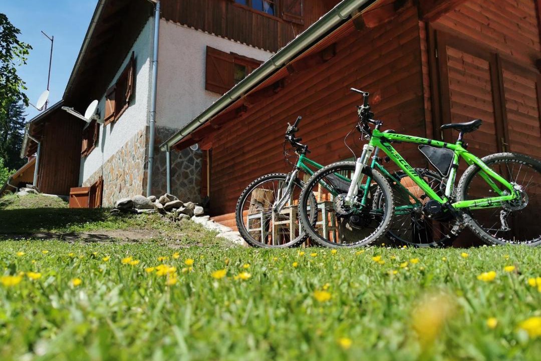 Photo of Others in Pohorje