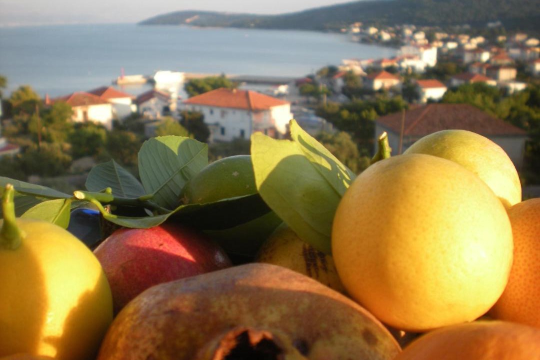 Photo of Others in Slatine
