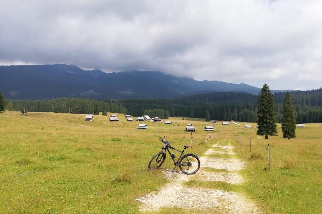 Photo of Others in Bohinj