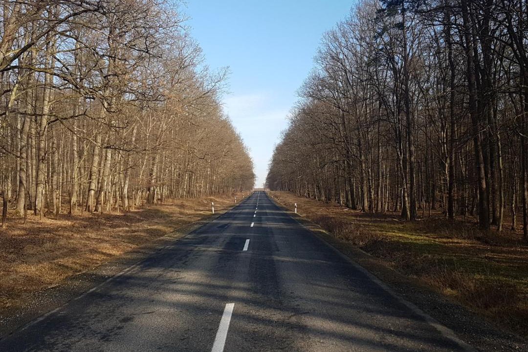 Photo of Others in Verzej