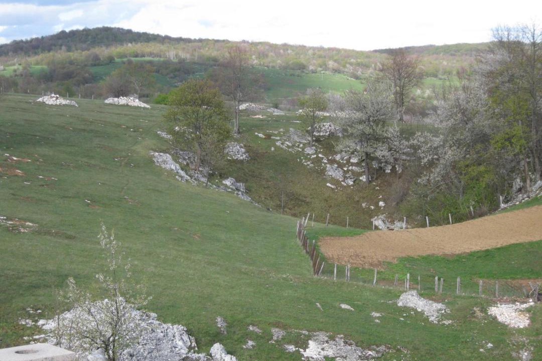 Photo of Others in Korana