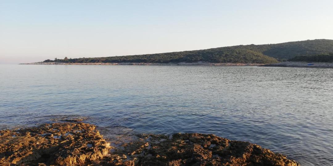 Photo of Others in Segotici