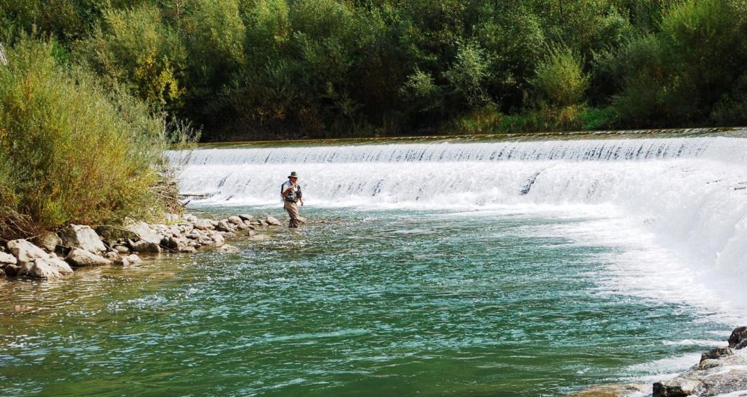 Photo of Others in Mozirje