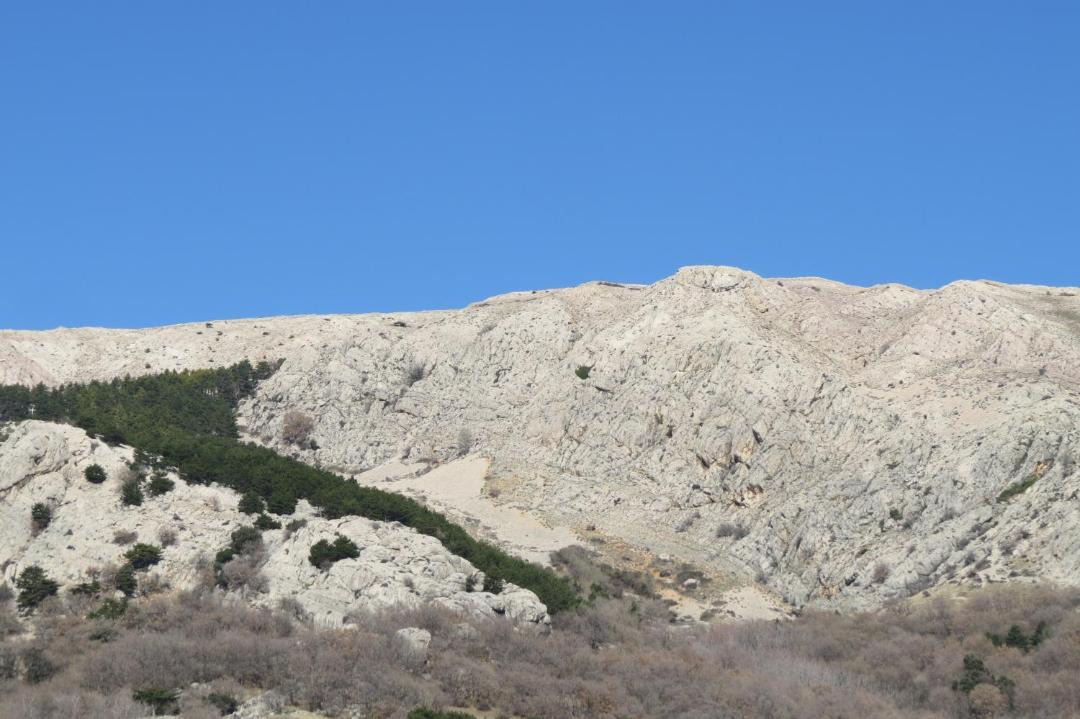 Photo of Others in Baska
