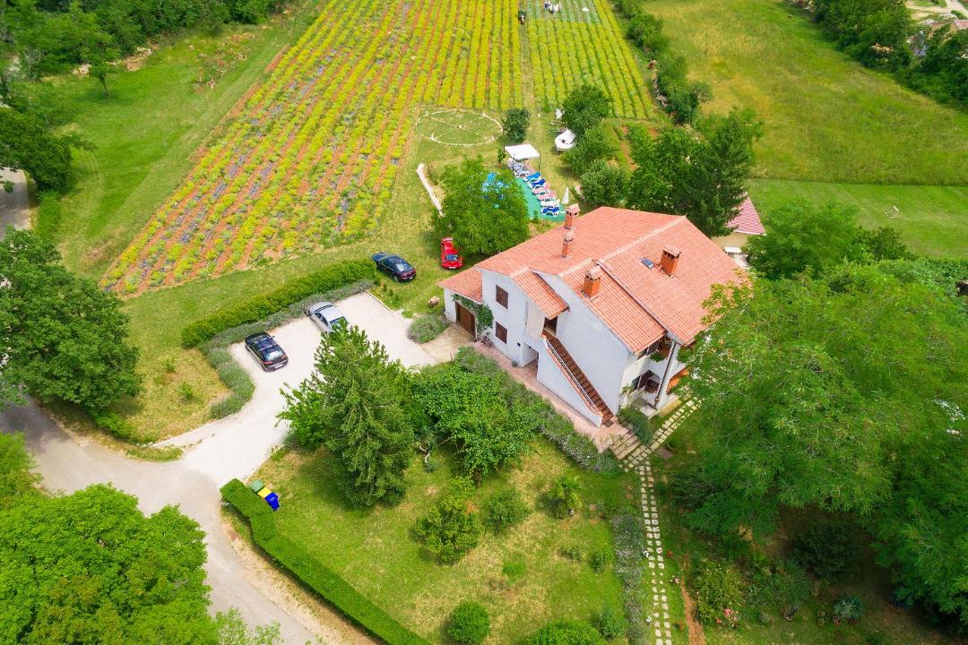 Photo of Others in Sveta Nedelja