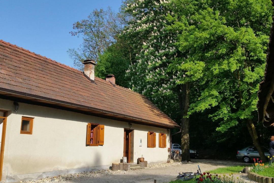 Photo of Others in Veliki Lovrecan