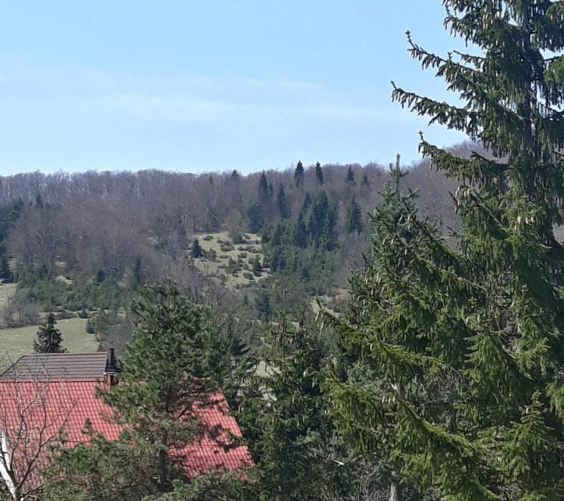Photo of Others in Jezerce