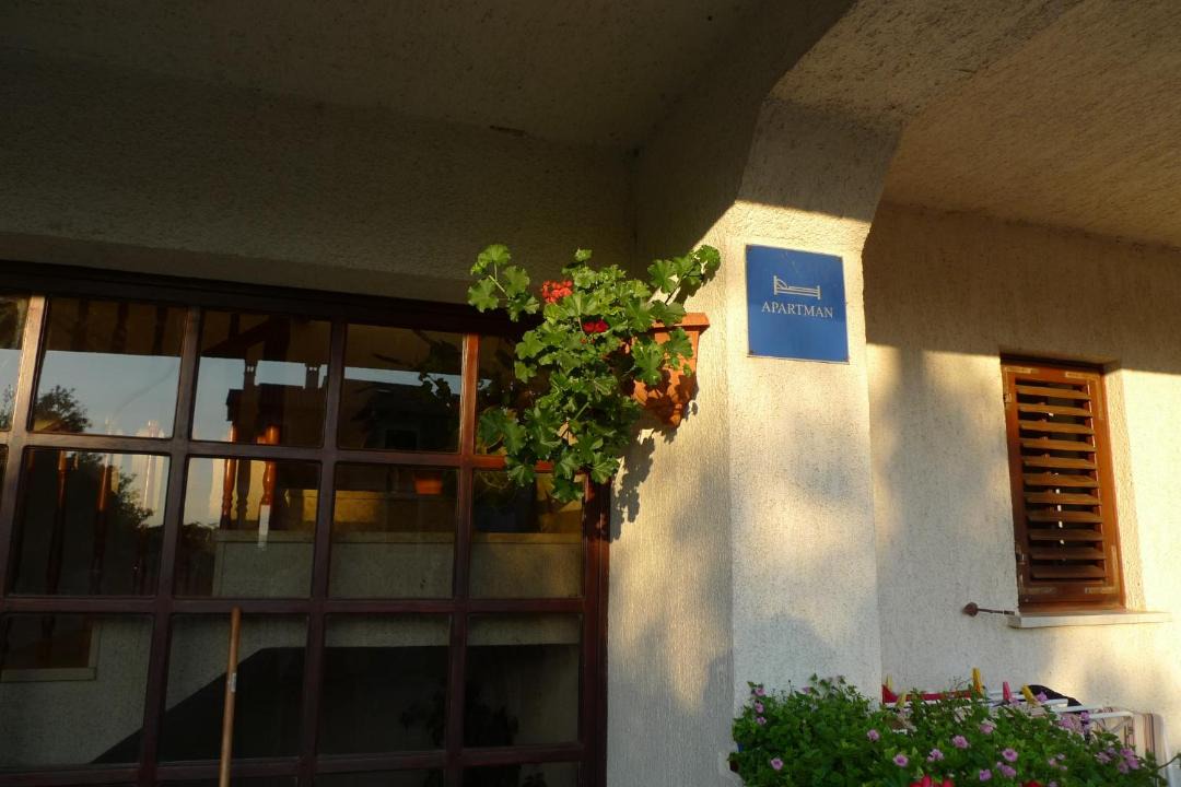 Photo of Others in Sveta Marina