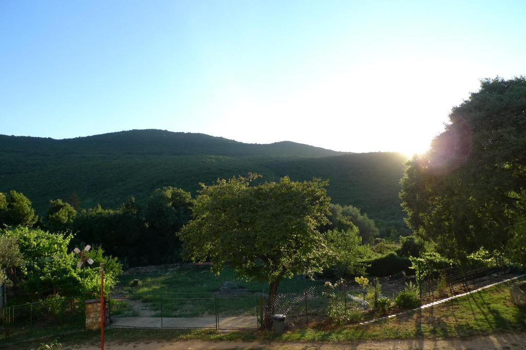 Photo of Others in Sveta Marina