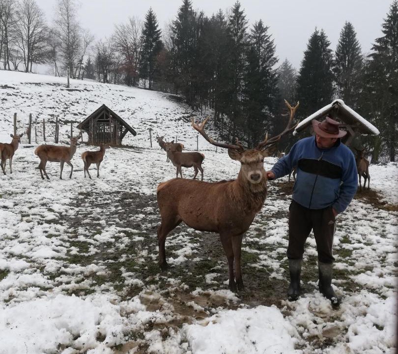 Photo of Others in Skofja Loka