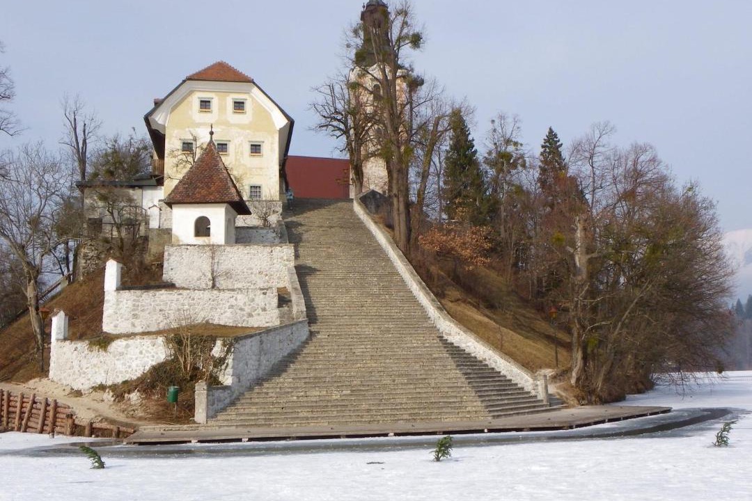 Photo of Others in Bled