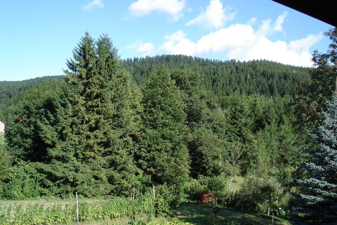 Photo of Outdoor in Ravna Gora