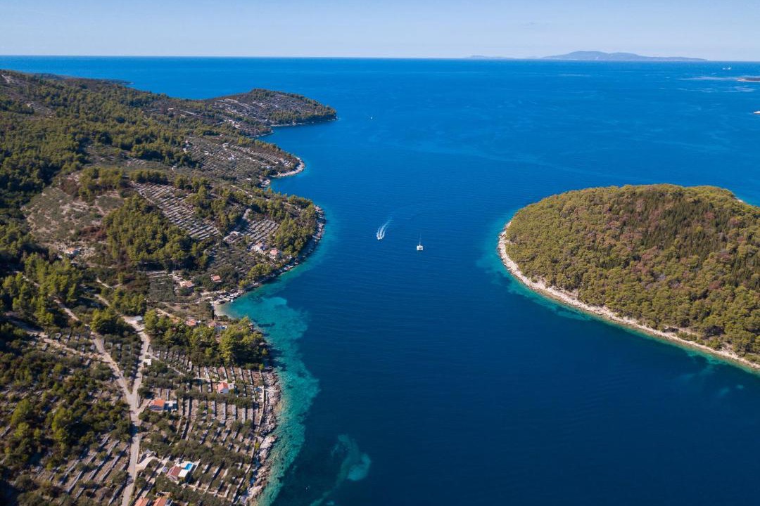 Photo of Others in Vela Luka