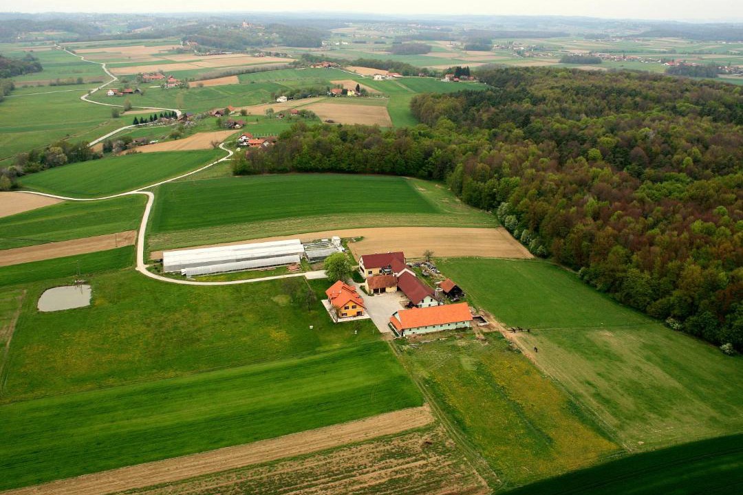 Photo of Others in Ljutomer