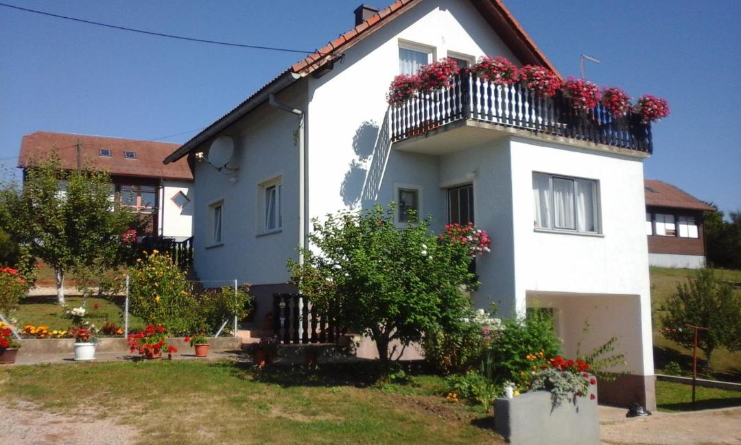 Photo of Others in Seliste