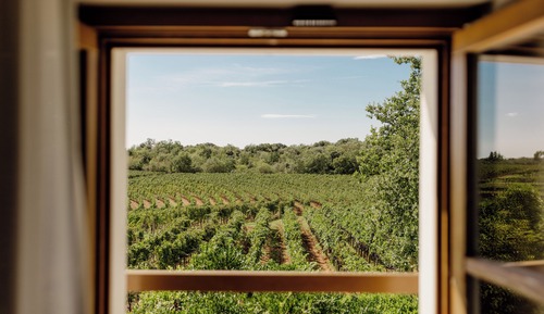 Vineyard Garden Residence