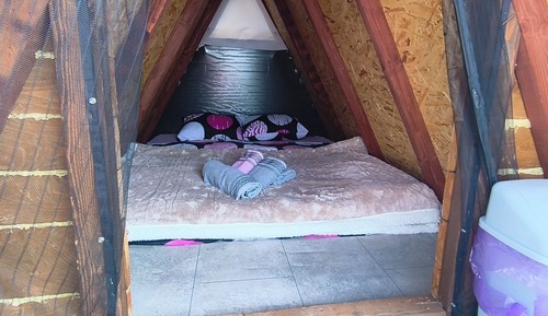 Exclusive Tent