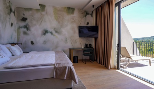 Executive Double or Twin Room