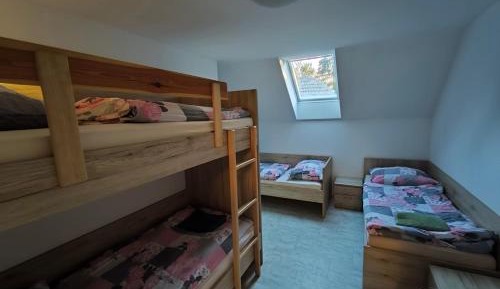 Mixed Dormitory Room