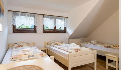 Basic Triple Room