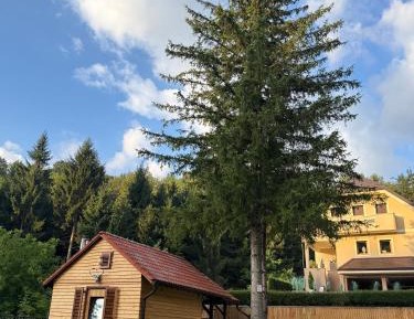 Cabin with Garden View