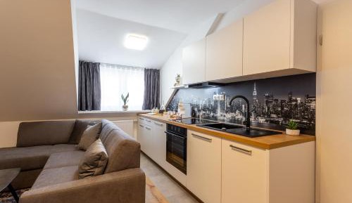 Standard One-Bedroom Apartment