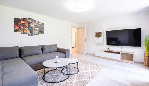 One-Bedroom Apartment with Terrace