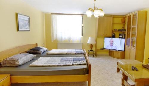 Zero-Bedroom Studio