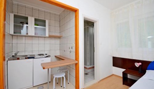 Studio with Garden View