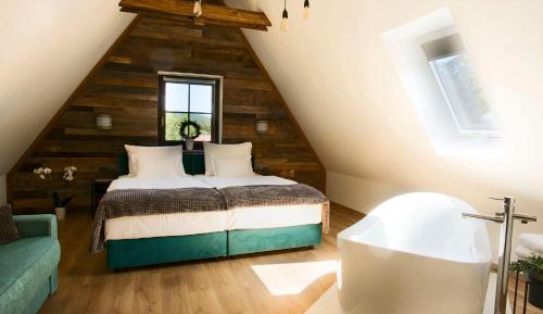 Deluxe King Room - Attic