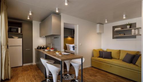 Standard Mobile Home 