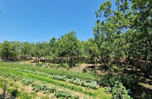 Razvode Villa | NEW! Rent estate with 2 villas, 1 common house and pool in vineyards