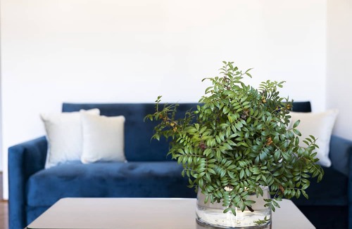 Tijesno Hotel | Heritage Hotel Tisno
