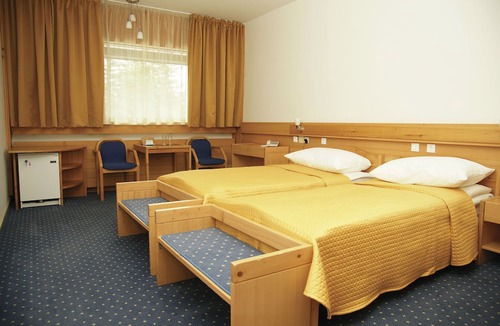 Gozd Martuljek Hotel | Hotel Spik