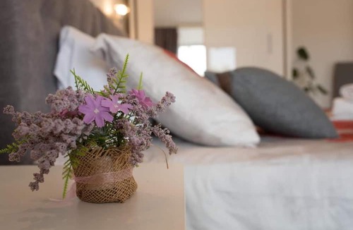 Rovinjsko Selo House | Apartments Paradis