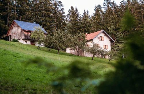 Paka House | Cottage Planska koča