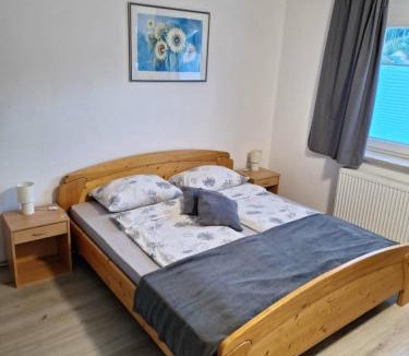 Trzic House | Apartmaji Mojca