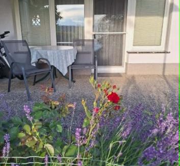 Trzic House | Apartmaji Mojca