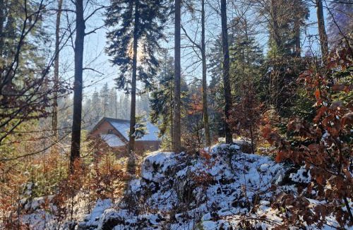 Predjama Ski Chalet | Karstwood Forest Retreat