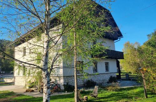 Zgornje Jezersko Apartment | Vila Zora