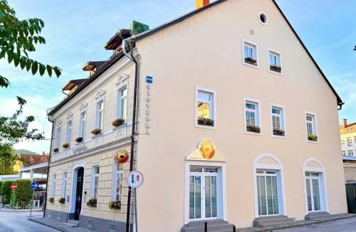 Celje Apartment | Vila Slovenka