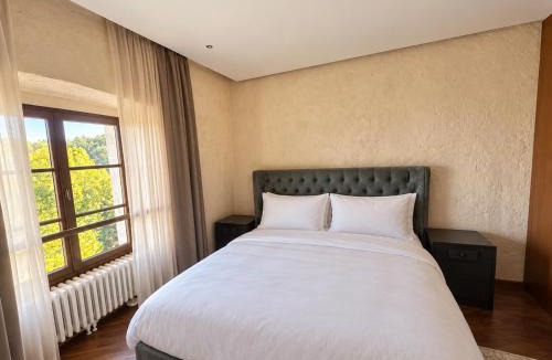 Dane Hotel | Hotel Grad Turjak