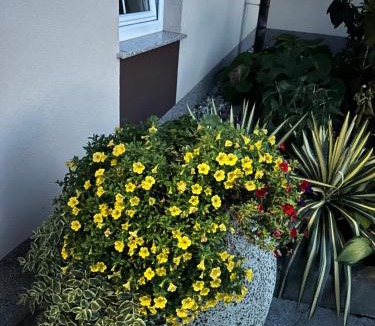 Slovenska Bistrica Bed & Breakfast | B&B Zemko